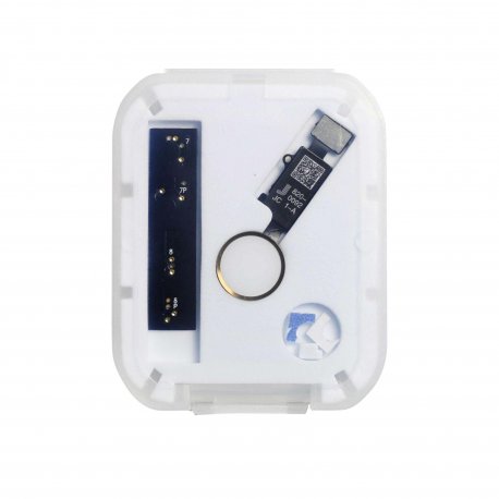 IPhone 7/7 Plus /8/8 Plus Universal Home Button Gold