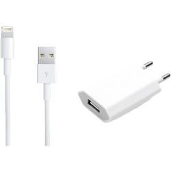 IPhone 5/6/7/8/X/11 Travel Charger 1A Lighting