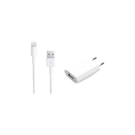 IPhone 5/6/7/8/X/11 Travel Charger 1A Lighting