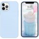IPhone 12/12 Pro Silicone Oem LO Case Magic Mint