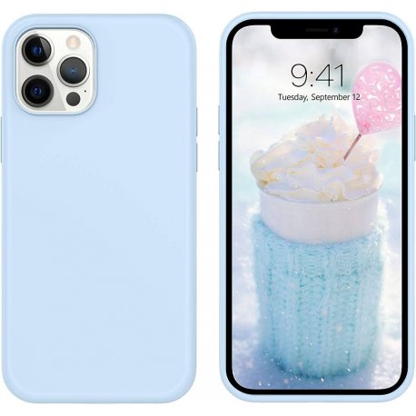IPhone 12/12 Pro Silicone Oem LO Case Magic Mint