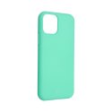 IPhone 12/12 Pro Silicone Oem LO Case Mint