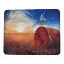 MBaccess Mouse Pad Sunset Poppy