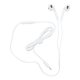 Pavareal PA-M11C Wired Earphones With Micro Type C DAC White