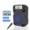 Sing-e ZQS6159 Portable Mini Karaoke 6''15W Speaker+Wired Microphone